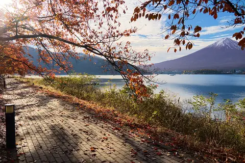 Mount Fuji across Lake Kawaguchi in autumn