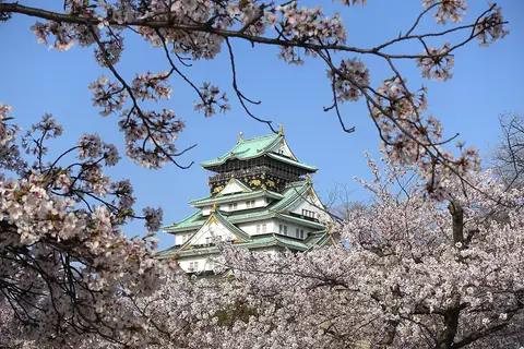 Osaka Castle framed by cherry blossom